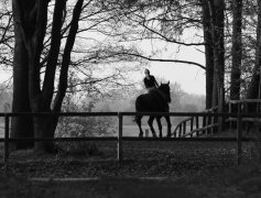 Tierbild